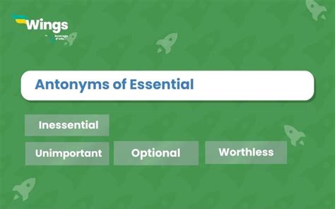 indispensable antonyms.